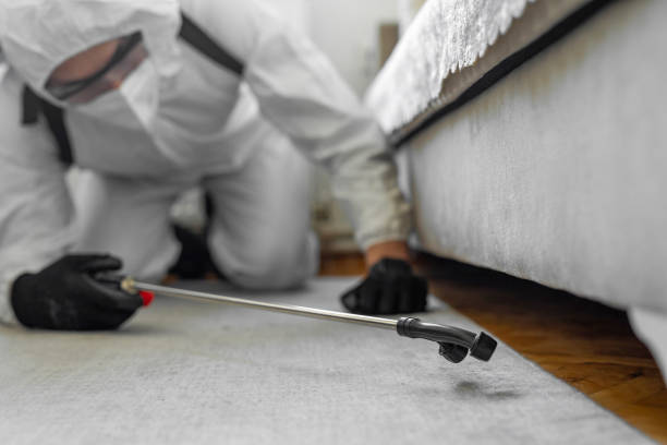 Professional Termite Control technician working in Libby, MT