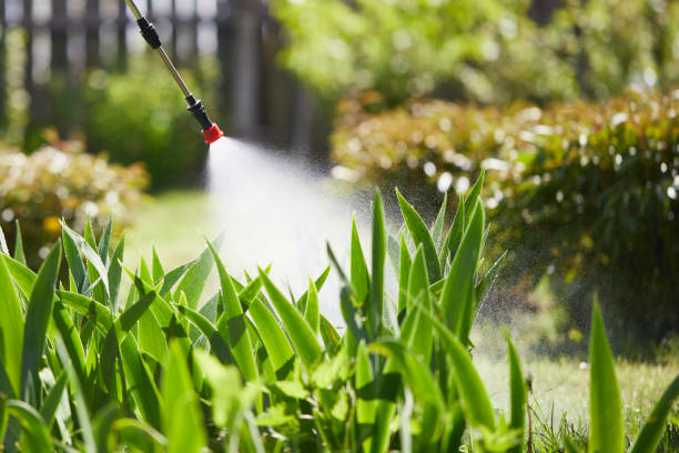 24/7 Emergency Termite Control experts in Libby, MT