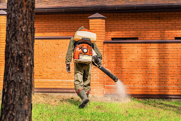 Top rated local Termite Control specialists in Libby, MT